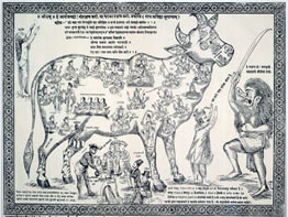 sacred cow